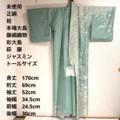 未使用 トールサイズ】本場大島 藤絹織物 袷 訪問着 裄丈69 身丈170