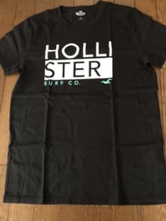 HOLLISTER Tシャツのサムネイル