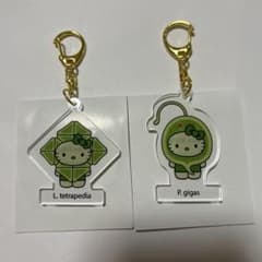 大阪万博 日本館 藻キティ アクリルキーホルダー 2個 - メルカリ