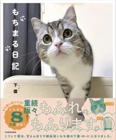 もちまる日記のサムネイル