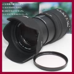 ✨1本で近遠対応の神レンズ✨❤️シグマ DC 18-200 mm キャノン用