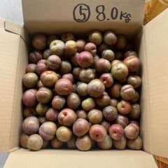 ⑤ 南国指宿産 すもも 8.0Kg - メルカリ