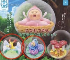 2個セット小人図鑑カプリウムコレクションのサムネイル