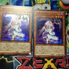 あああああ様専用:浮幽さくらのサムネイル