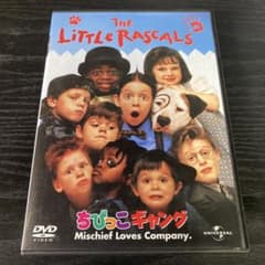 ちびっこギャング　21個セット ちびっこギャング 21個セット 2025年最新】ちびっこギャングの