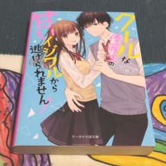クールな優等生の甘いイジワルから逃げられません!のサムネイル