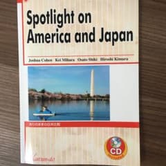 ありのままの日米比較のサムネイル