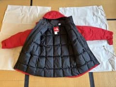 THE NORTH FACE タグ赤 ダウン Mサイズ（80
