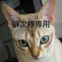銀次様専用  ヒステリックグラマー ガール長袖Tシャツのサムネイル