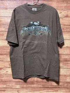 90s USA製 ハーレーダビッドソン 聖地ベアトゥースパス 景観Tシャツ茶XLのサムネイル