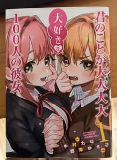 君のことが大大大大大好きな100人の彼女 1〜21巻セット(本当に読みたい人に)のサムネイル