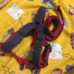 ハーネス犬用 ハーネス&リード付きのサムネイル