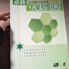 公立高校入試対策 国語のサムネイル