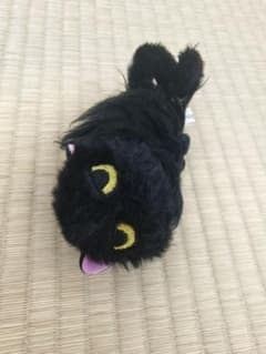 黒猫 なつかない猫　実家の猫 ぬいぐるみ マスコットのサムネイル