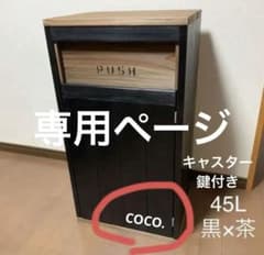 ダストボックス 45L アメリカン お洒落ゴミ箱 分別ゴミ箱 - メルカリ