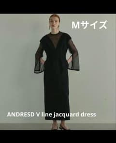ANDRESD V line jacquard dress - メルカリ