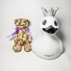 m12019459845_1.jpg?1716464318