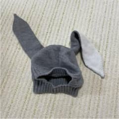 うさぎ　かぶりもののサムネイル