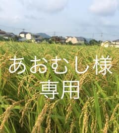 あおむし様専用 ベビー服のサムネイル