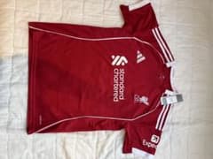 Liverpool FC Jersey ENDO 2のサムネイル