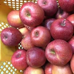 サンふじ 食べ切りサイズ ５kgのサムネイル
