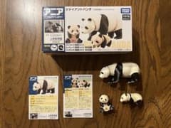 アニア　上野動物園のサムネイル