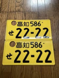 m12066469605_1.jpg?1720678967