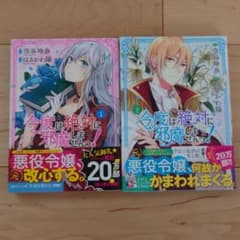 今度は絶対に邪魔しませんっ! 1.2巻セットのサムネイル