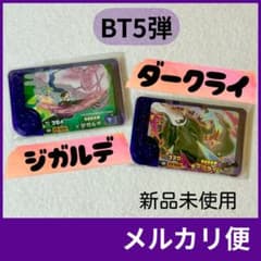 지가르데 다크라이 슈퍼 트레저 포켓몬 프렌다 베스트 태그 5탄