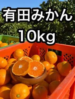 [大特価]有田みかん10kg!!訳あり品.農家直送のサムネイル