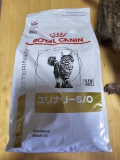 消費期限近いのでお安く出品  ロイヤルカナン ユリナリーS/O  4kgのサムネイル