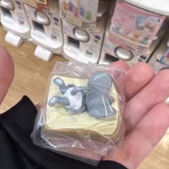 톰과 제리 태피 가득 컬렉션 2