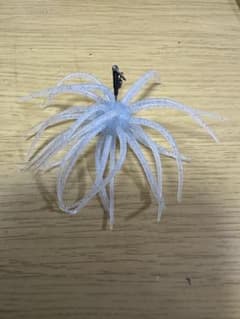 コイケ13mmのサムネイル