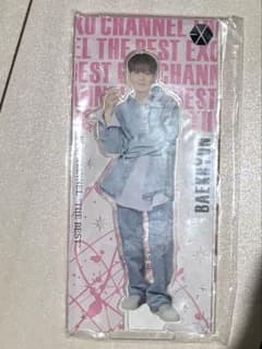 EXO ベッキョン　アクスタのサムネイル