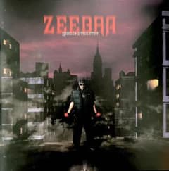 ZEEBRA / BASED ON A TRUE STORYのサムネイル