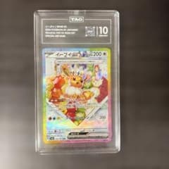 ポケモンカード TAG10イーブイex SAR 224 テラスタルフェスex - メルカリ