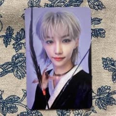 フォトカード shop IN生 フィリックス Stray Kids