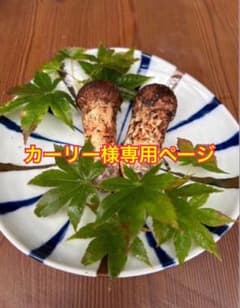 カーリー様専用ページのサムネイル