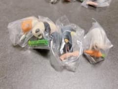 【ガチャ】もっと、お納めください【4種】のサムネイル