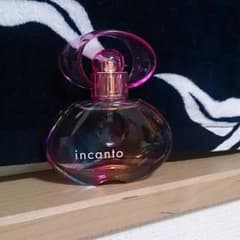 インカントシャインのサムネイル