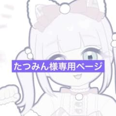 たつみん様専用ページのサムネイル