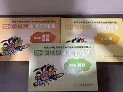 ジャック幼児教育研究所 領域別重要問題集 年長児・年中児用 3冊セットのサムネイル