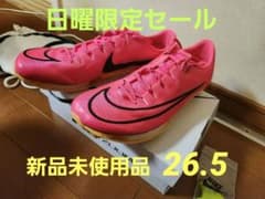 ナイキ ズームマックスフライ26.5のサムネイル