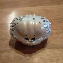 いきもの大図鑑　かにのサムネイル