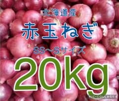 北海道産赤玉ねぎ20kg - メルカリ