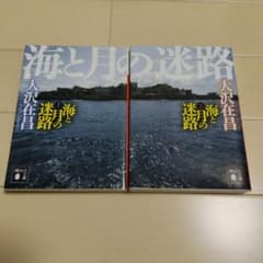 海と月の迷路　上下巻　大沢在昌のサムネイル