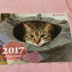 ねこのきもち　カレンダーのサムネイル