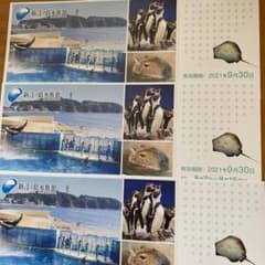 新江ノ島水族館チケット3枚！！のサムネイル