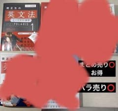 【kotaro様】専用　関正生英文法ファイナル演習1のサムネイル