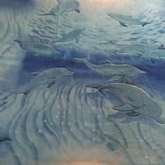 イルカのラグのサムネイル